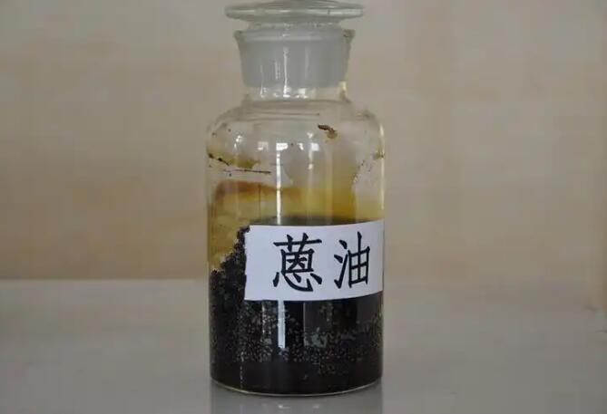 蒽油输送泵