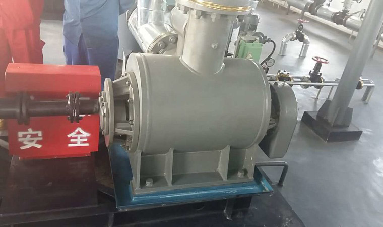 原料油泵W7.2ZK-30M1Z2W64A双螺杆泵扬程219m